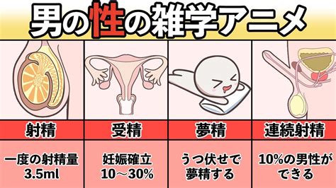 夢精入門｜病気ではない？メカニズムと原因、対処法などを解